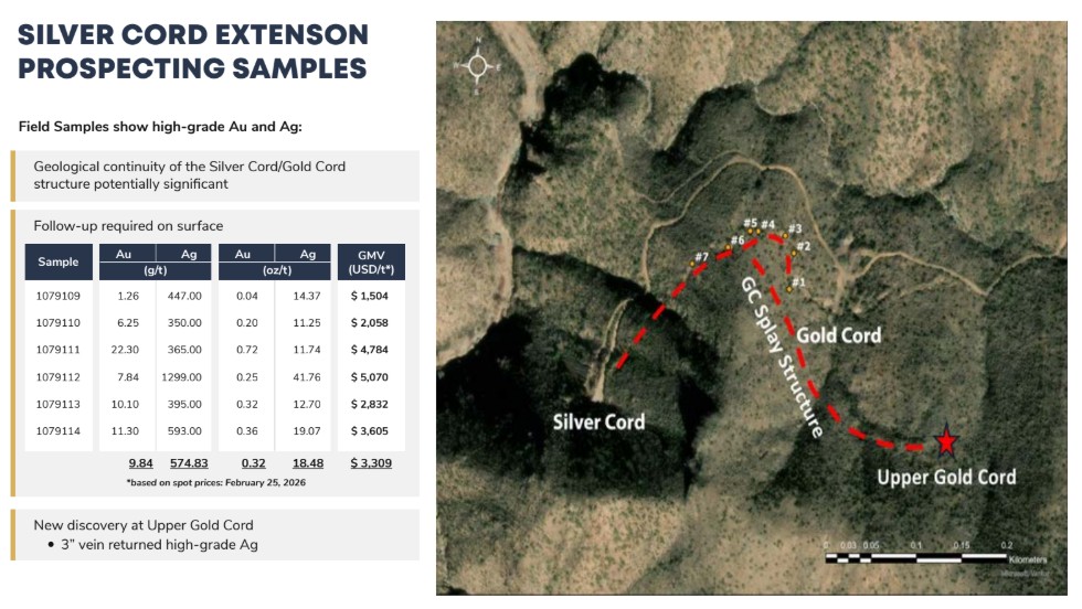 silver cord extenson prospecting samples